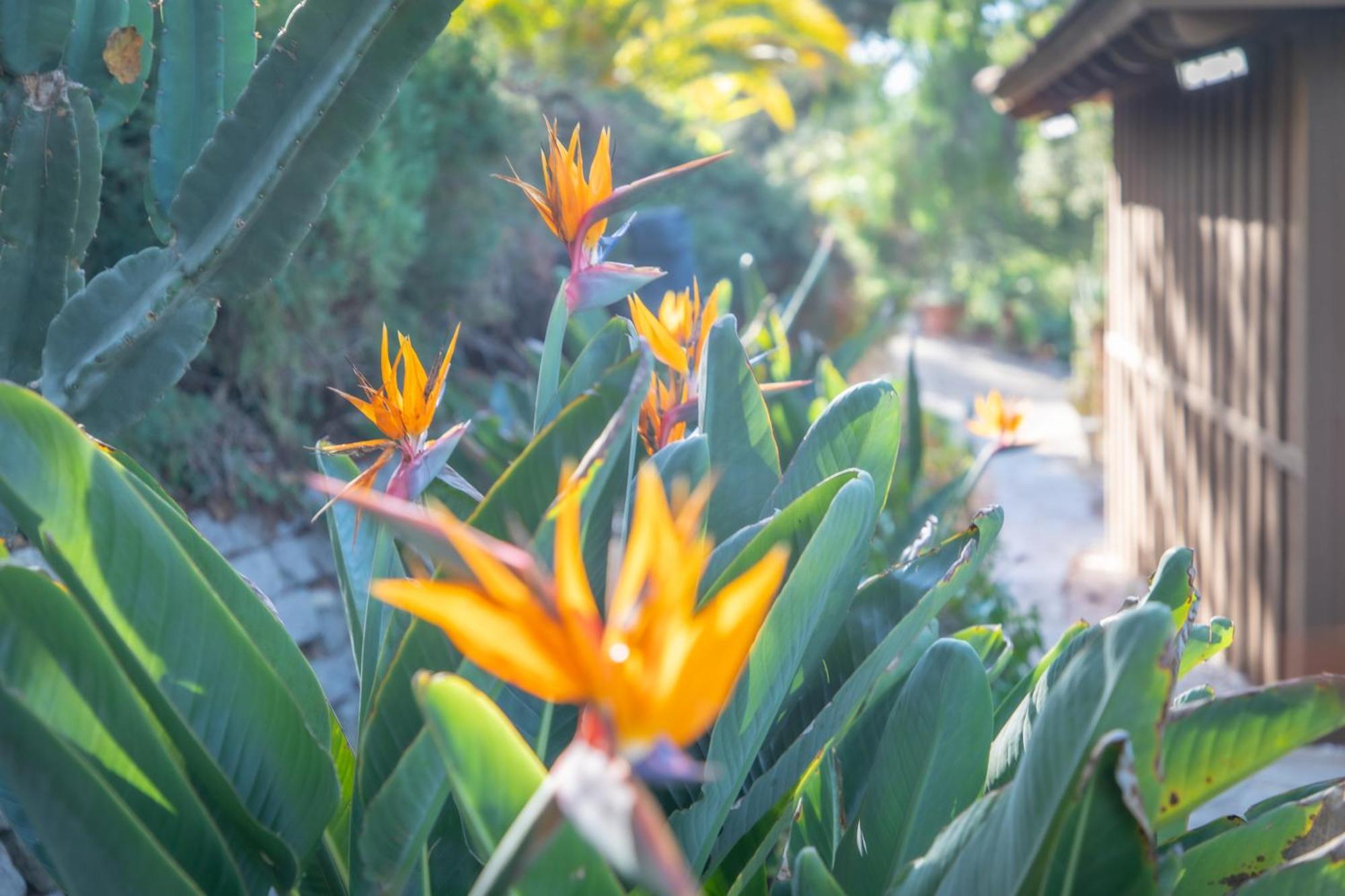 Nature Focused Villa Designed For Wellness Fallbrook Extérieur photo